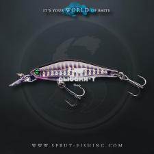Купить Воблер Sprut IVASI 3D 65SP